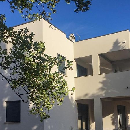 Pinezići M Plus Residence מראה חיצוני תמונה